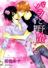 Series Image